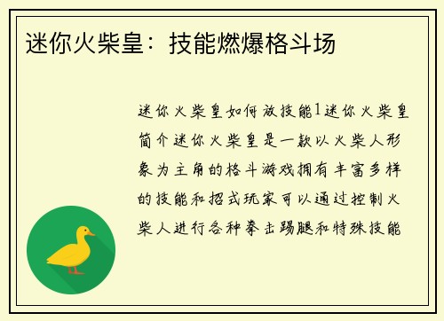迷你火柴皇：技能燃爆格斗场